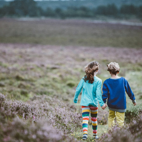 5 sustainable (and budget friendly) activities for the summer holidays